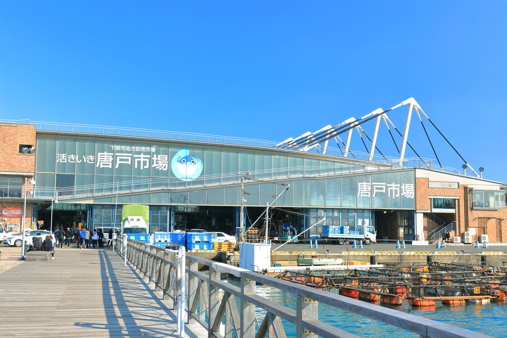 唐戸市場 近景