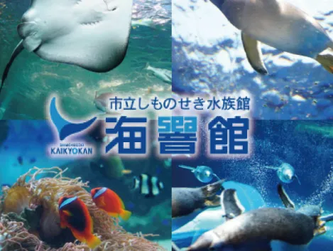 海響館